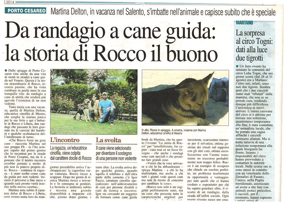 rocco_3a