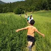 Nature hike