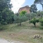 Torre di Oriolo