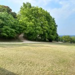 Parco