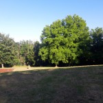 Parco Torre